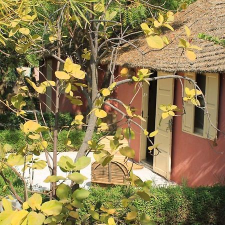 Lampsar Lodge Ndiongo Buitenkant foto